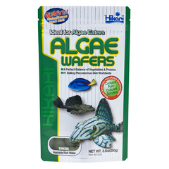 Algae Wafers