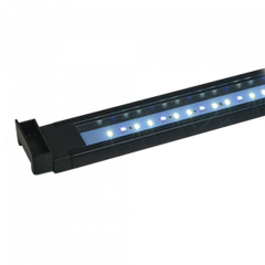 Aquasky LED