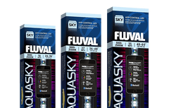 Aquasky LED