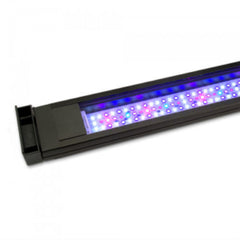 Fluval Sea Marine Spectrum LED