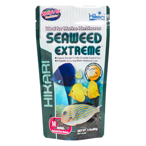 Seaweed Extreme