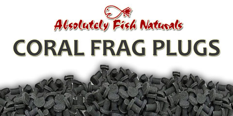 Coral Frag Plugs