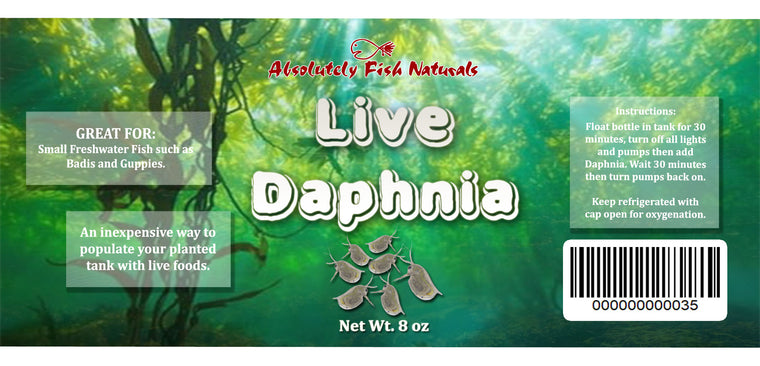Live Daphnia