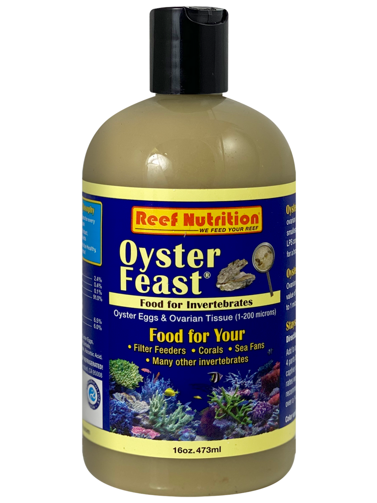 Oyster-Feast